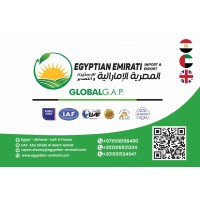 Egyptian Emirati Import & Export logo - Similar company to Unsdg World