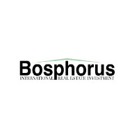 Bosphorus International Real Estate Investment logo - Similar company to Forev Yapı