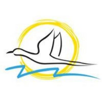 Flamingo Transworld Pvt Ltd logo - Similar company to Aahvan.Com