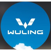 Wuling Motor Nigeria logo - Similar company to Nev Motors