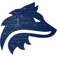 TuffNet Associates | OSINT and Cyber security specialists logo - Similar company to Foxsec