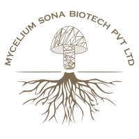 Mycelium India logo - Similar company to 3S Industry