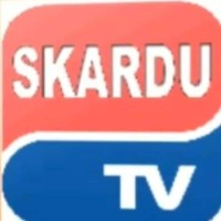 Skardutv logo - Similar company to Dreamers Ecom Tech