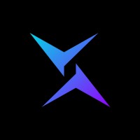 Concept X logo - Similar company to Aise Consulting