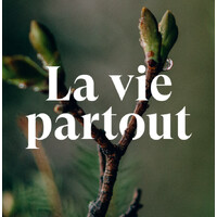 La vie partout logo - Similar company to Dirty Notes