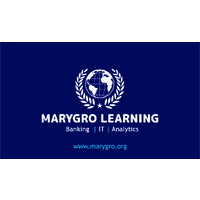 Marygro Leaning & Analytics Private Limited logo - Similar company to Slu