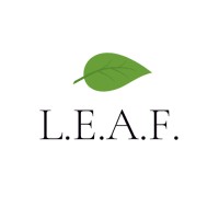Lived Experience Access Fund (LEAF) logo - Similar company to Academic Forum For The Study Of Gambling (Afsg)