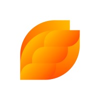 Effecsion Consulting logo - Similar company to Connectionpoint