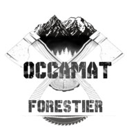 OCCAMAT12 logo - Similar company to Occamat