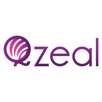 Qzeal logo - Similar company to Critixe