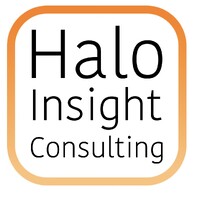 Halo Insight Consulting logo - Similar company to Practical Insights, Inc.