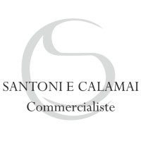 Studio Santoni e Calamai - Commercialiste Associate logo - Similar company to Wallnet