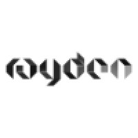Rayden, Inc logo - Similar company to Rayden Dynamics