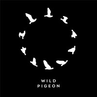 Wild Pigeon Films