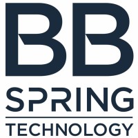 BB Spring Technology Srl logo - Similar company to Cold Spring Technology Inc