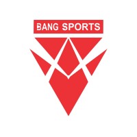 Bang Sports (PVT) LTD. logo - Similar company to Pro Impex