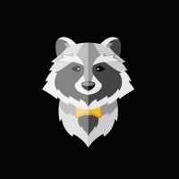 Raccoon Studio