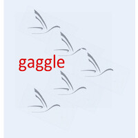 Gaggle logo - Similar company to Gaggle Studios