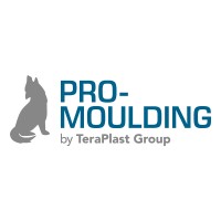 Pro-Moulding Kft. logo - Similar company to Deld Sh.P.K