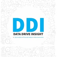 Data Drive Insight logo - Similar company to Voks Technologies