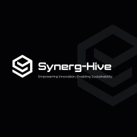 Synerg-Hive logo - Similar company to Chase Analytics Corporation