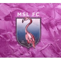 MESSOLONGHI FC logo - Similar company to Techunited Eindhoven