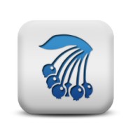 Blue.Berry : Luxury Elite Enterprise Level Content Creation Company logo - Similar company to Grapro Sur