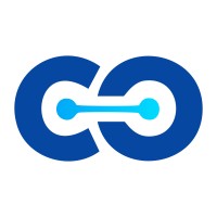 Chipconnect Solutions LLP logo - Similar company to Zynomatrix