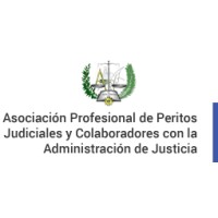 Asociación Profesional de Peritos Judicial de España logo - Similar company to Eaxy