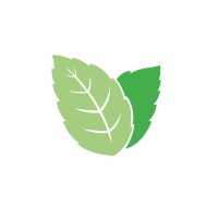 Mintflavour logo - Similar company to Kiklosoft