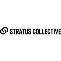 Stratus Collective logo - Similar company to Dg Insights