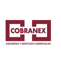 Asesorías y Gestión Cobranex SpA logo - Similar company to Integradiallimitada.Com