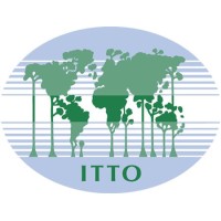 ITTO | International Tropical Timber Organization logo - Similar company to Rabarco