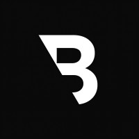 Brandvision Agency logo - Similar company to Brandsketch