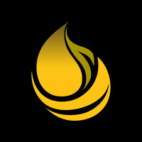 Páginas y Web logo - Similar company to Paginas Web - Bravo Web Solution .Com