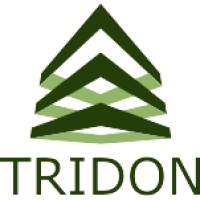 Tridon Group logo - Similar company to Jhkl