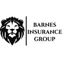 Barnes Insurance Group logo - Similar company to Source Technologies, Llc