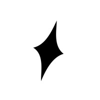Conduti Studio logo - Similar company to Acidsoup