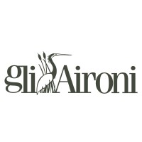 gliAironi logo - Similar company to Ideariso S.R.L.