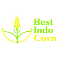 Bestindocorn logo - Similar company to Pitech System