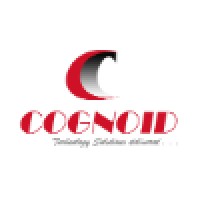 Cognoid Technology Solutions logo - Similar company to Go Audit