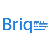 Briq S.r.l. logo - Similar company to Calamit Srl