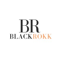 BlackRokk HealthCare logo - Similar company to Everestwolf