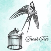 Break Free: Mental Health, Healing & Hope for Survivors logo - Similar company to Eastside Primetimers Foundation
