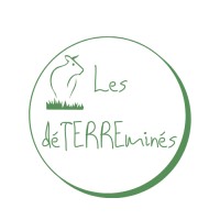 DéTERREminés logo - Similar company to Pattadom