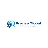 Precise Global Business logo - Similar company to Emerge Global Solutions