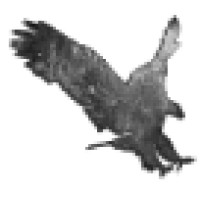 Eagle Employer Services logo