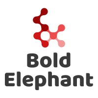 Bold Elephant logo - Similar company to Class Wizard