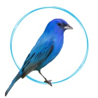Indigo Bookkeeping, LLC logo - Similar company to Bluewave Bookkeeping