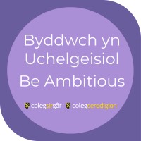 Be Ambitious l Byddwch yn Uchelgeisiol logo - Similar company to Yes Hwb